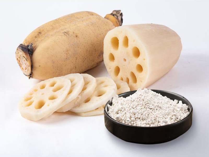 Lotus Starch Processing