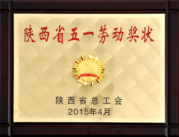 2015年陕西省五一劳动奖状
