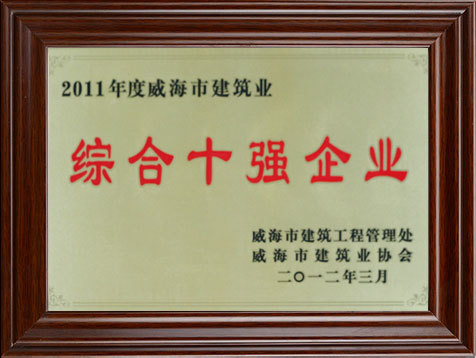 综合十强企业