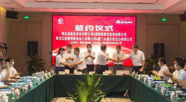 北方糧企 南下結(jié)緣｜雞西好糧油肇慶、深圳活動(dòng)圓滿(mǎn)落幕