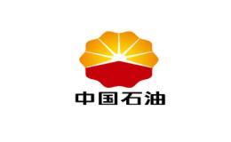 国内合作74