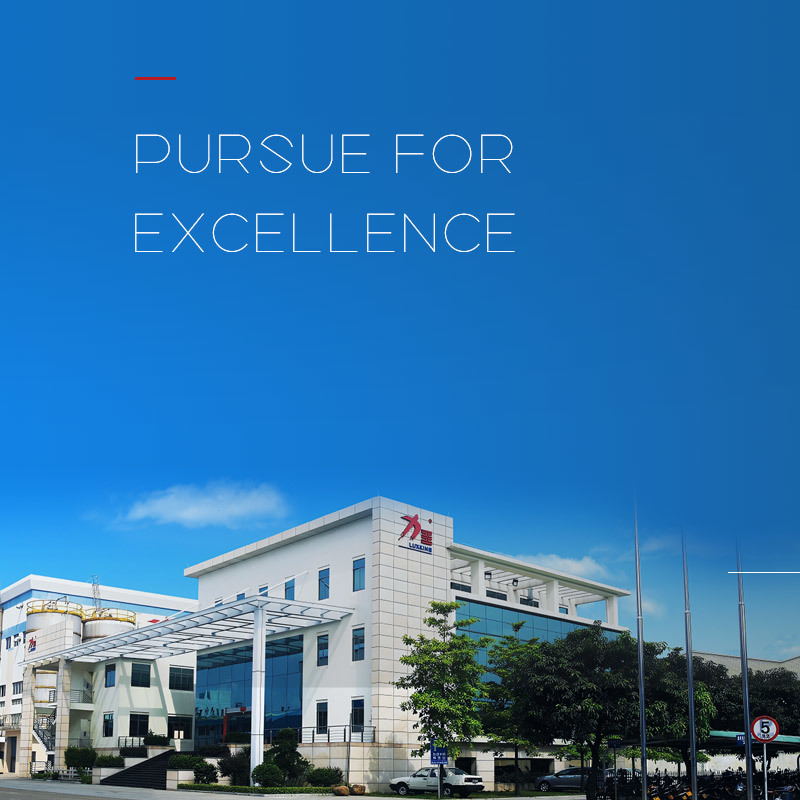 PURSUE FOR EXCELLENCE
