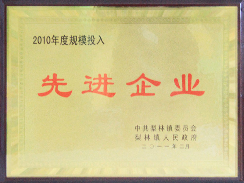 2010年先进企业