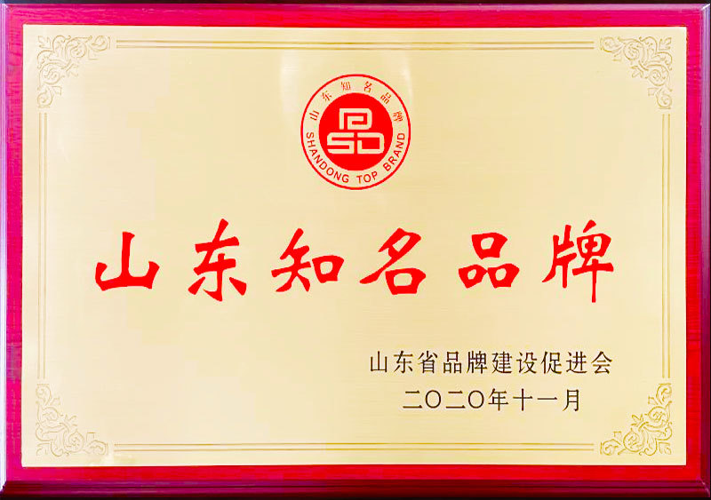 山东知名品牌