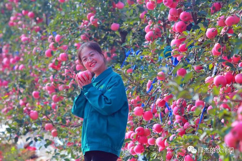 绿杰股份