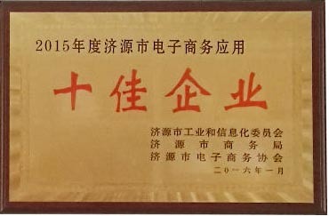 Top ten enterprises