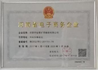 E-commerce Enterprise in Henan Province