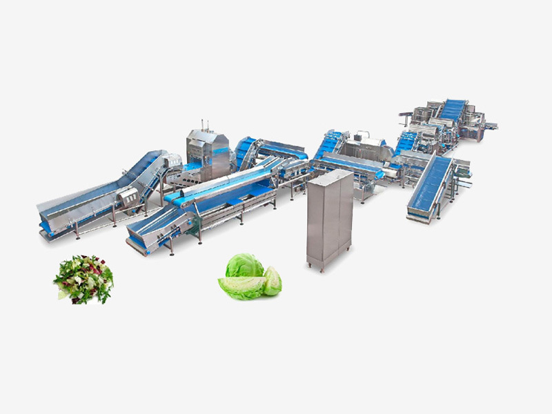 Leaf vegetable processing line