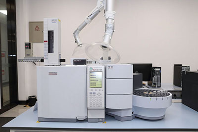 Gas chromatograph