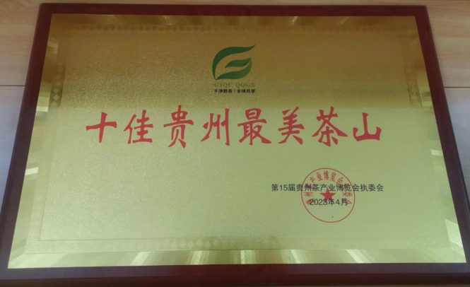 十佳貴州最美茶山