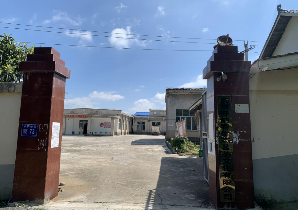 公司大門