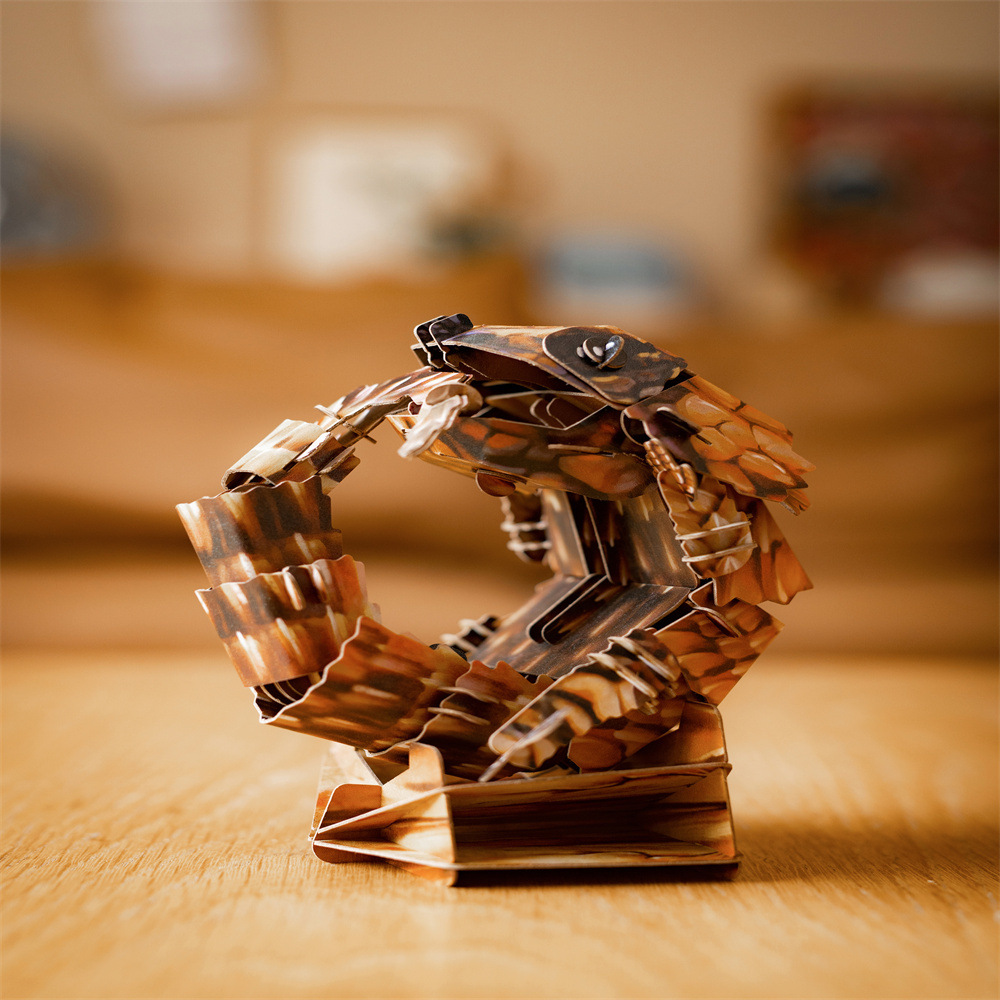 Armadillo lizard