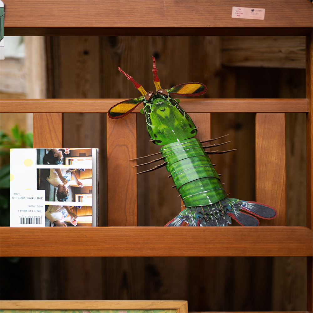 Peacock mantis shrimp