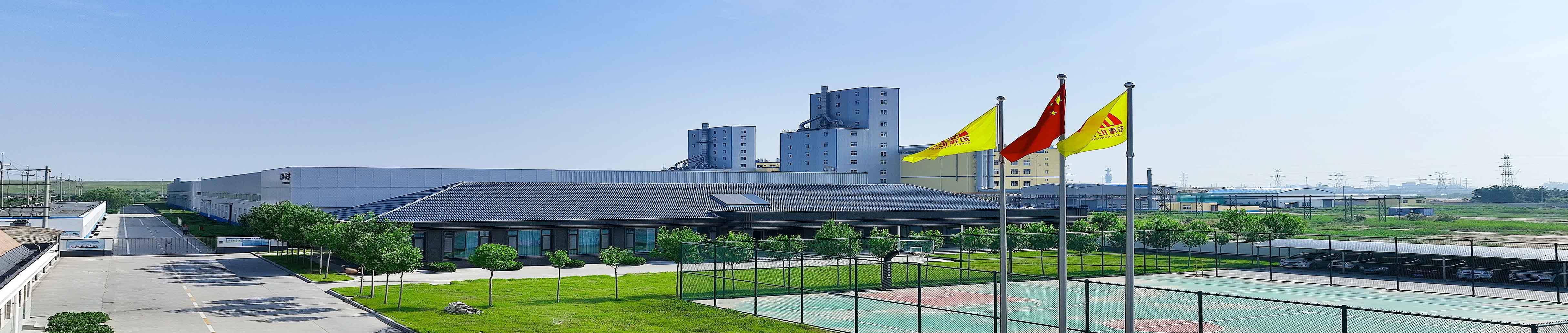 Company Profile