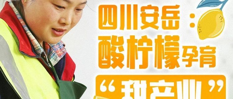 鄉(xiāng)味｜四川安岳：酸檸檬孕育“甜產(chǎn)業(yè)”