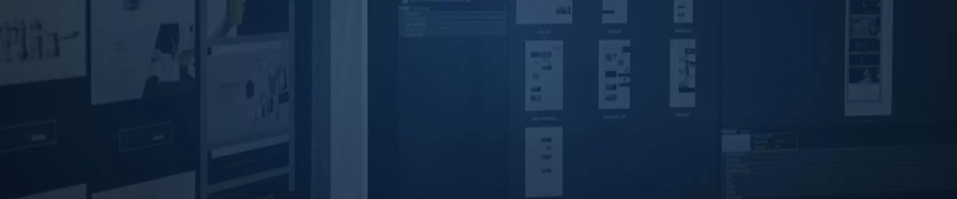 数字信息领域