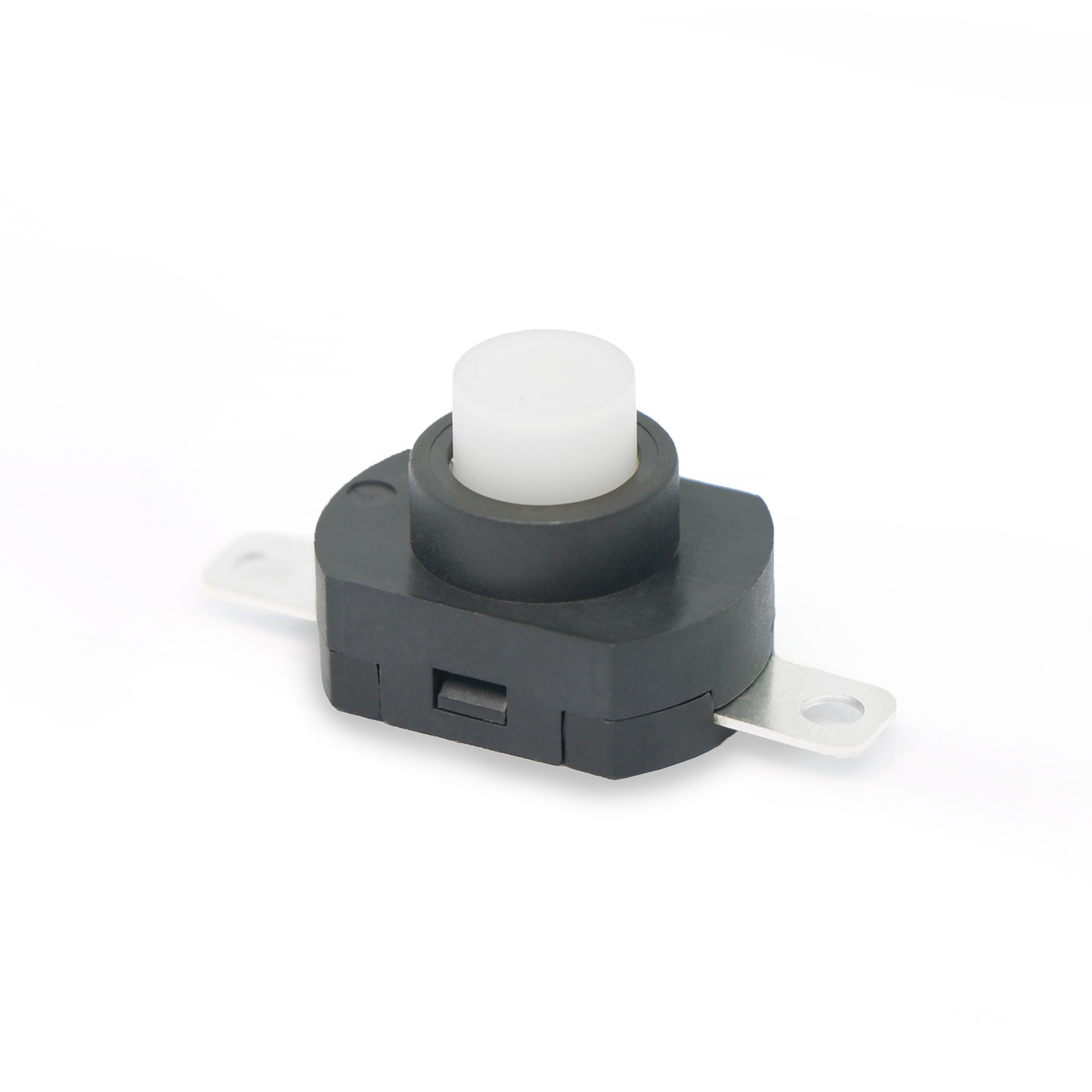 PS6 push button switch