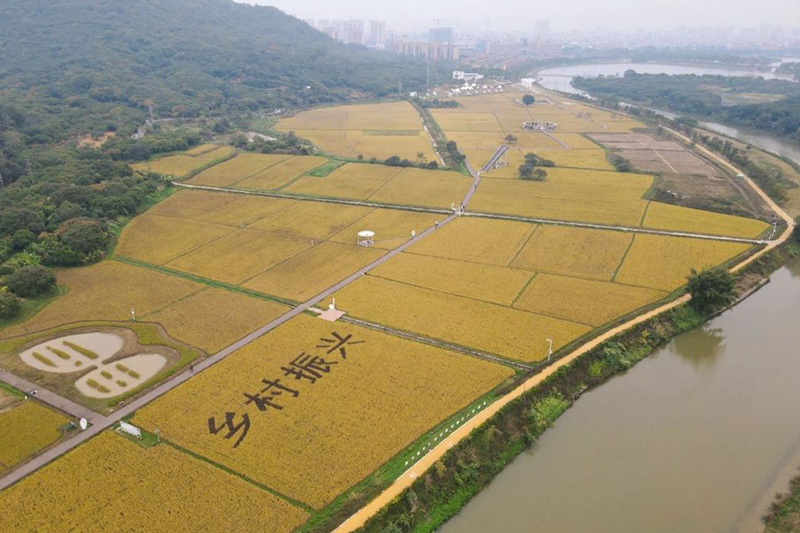 南粵大地涌新潮