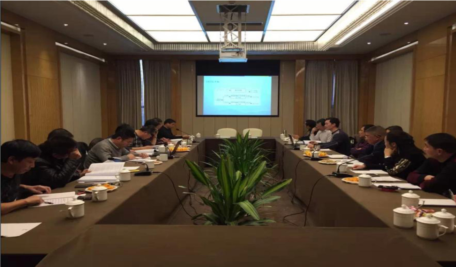 上海樱桃视频app药业（湖北）有限公司原料药和外用制剂生产线项目环境影响顺利通过专家评审