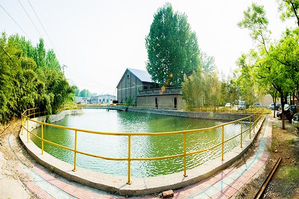 Green Panorama