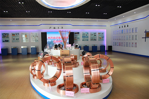 Enterprise Showroom