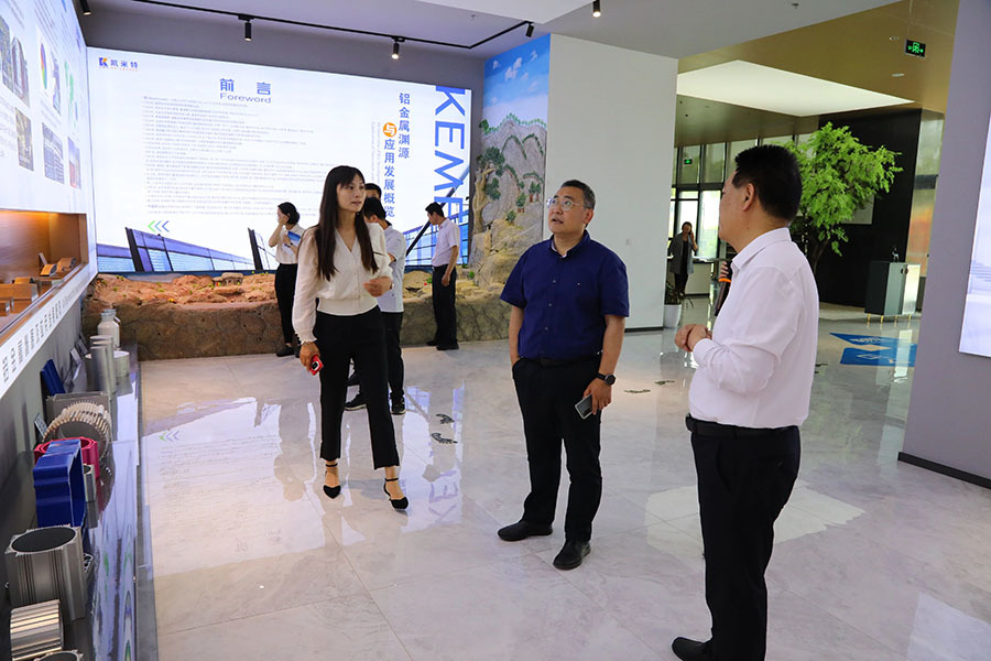 临沂市沂河新区行政审批服务中心主任孙向堃同志一行莅临凯米特公司调研
