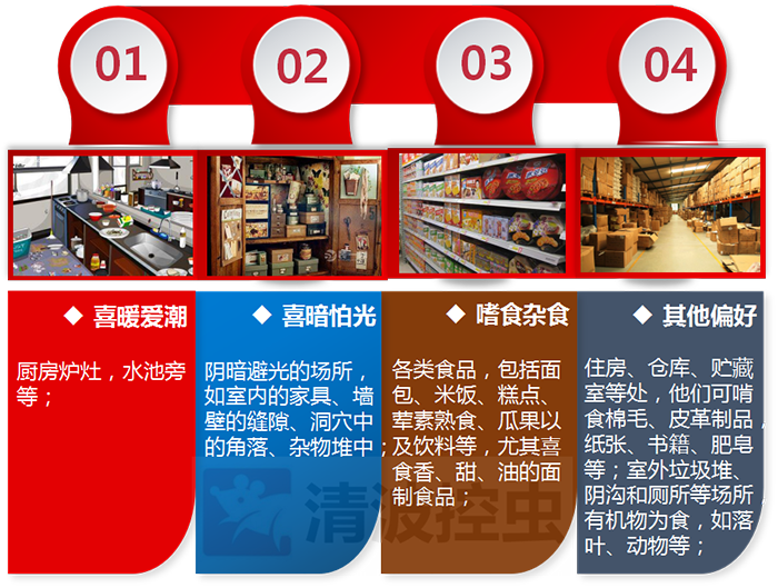 蟑螂防治-消灭蟑螂的方法-专业灭蟑螂公司