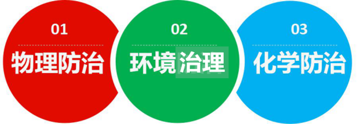 蚂蚁防治-专业消灭蚂蚁-清波杀虫公司