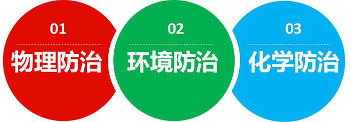 臭虫防治-杀灭臭虫-清波臭虫防治公司