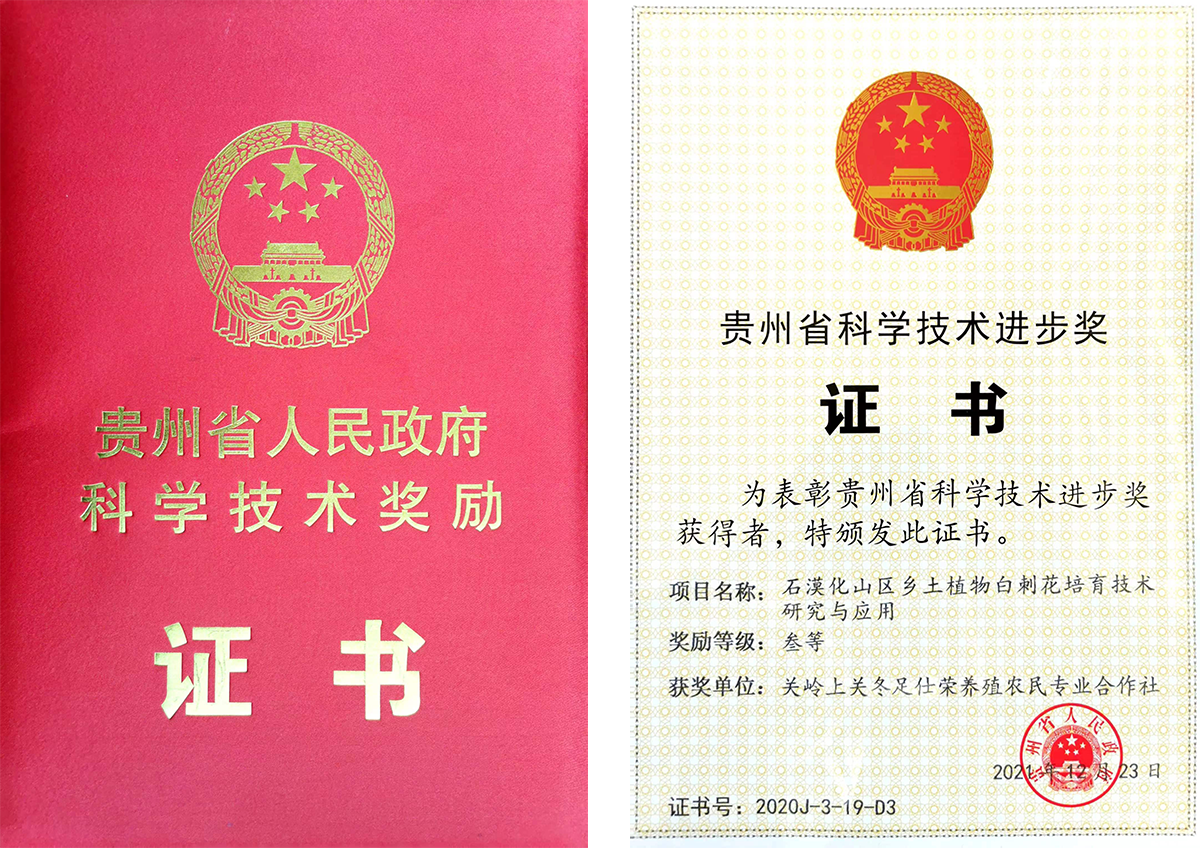 圖片名稱 圖片名稱