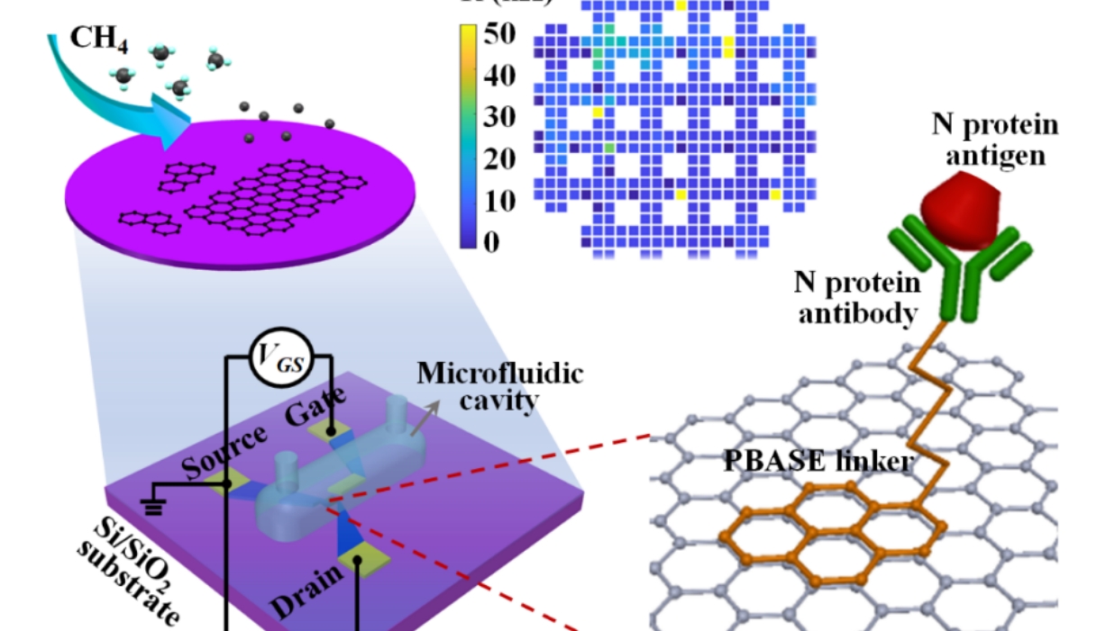 【二维材料生长】泽攸科技PECVD设备助力开发新型石墨烯生物传感器