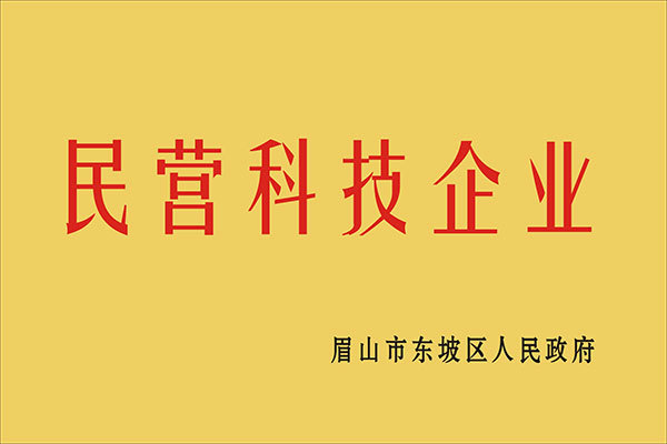 民營科技企業(yè)