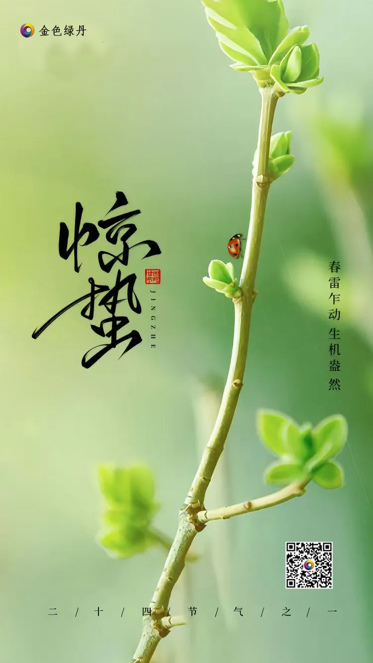 惊蛰 ‖ 春雷乍动 生机盎然