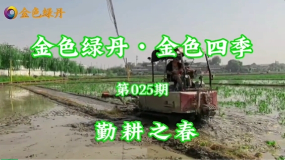 mg娱乐电子游戏官网版·金色四季 第025期