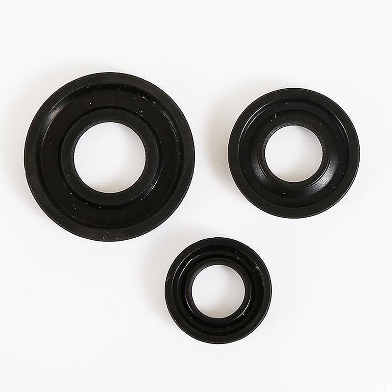 Gas spring oil seal