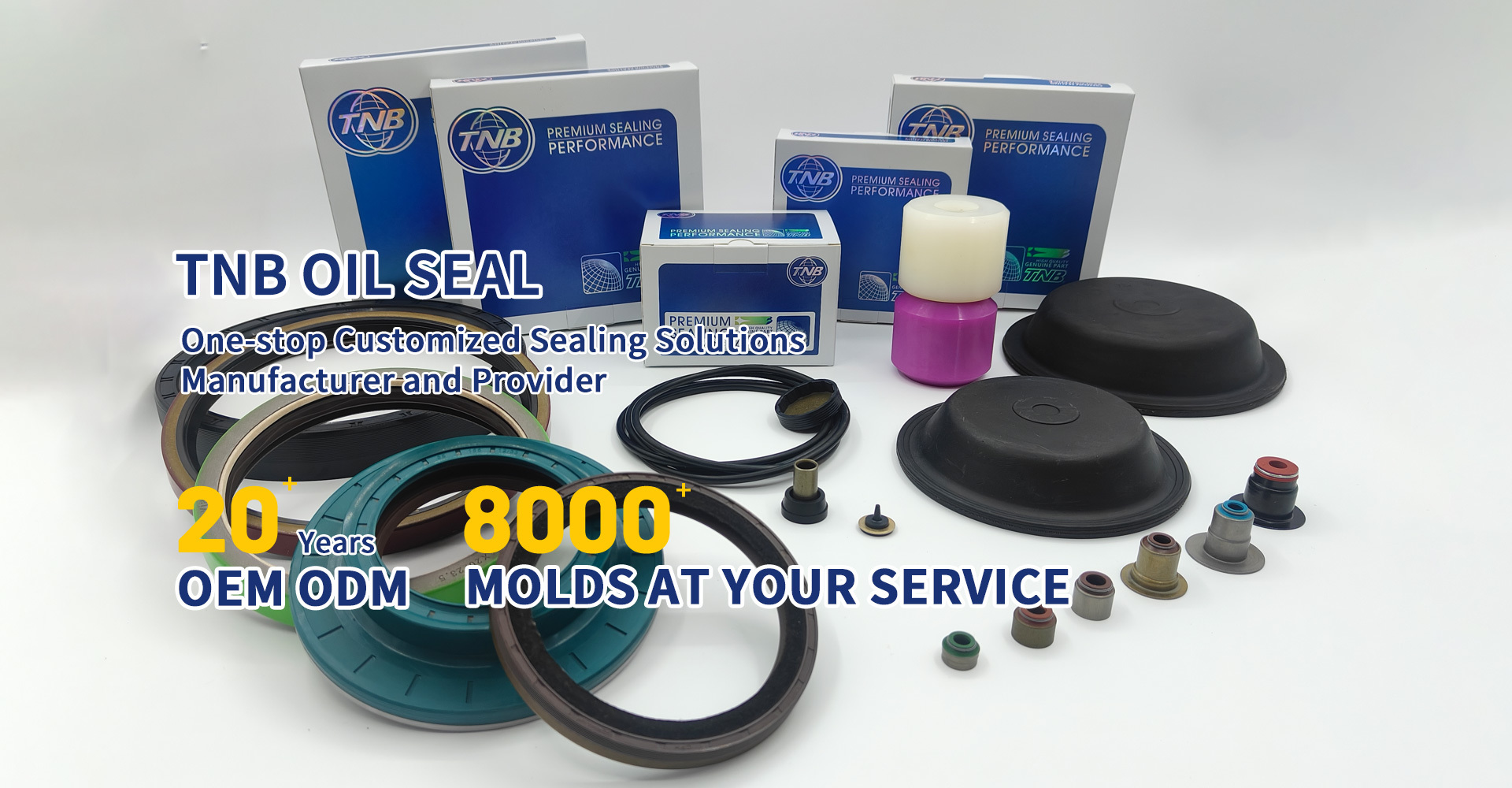 Focus On Oil Seals