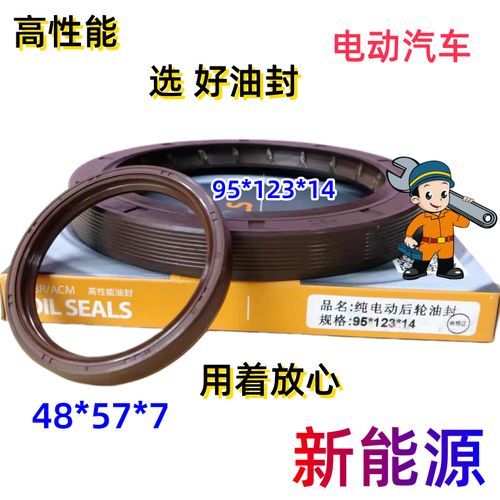 Oil Seals for EV