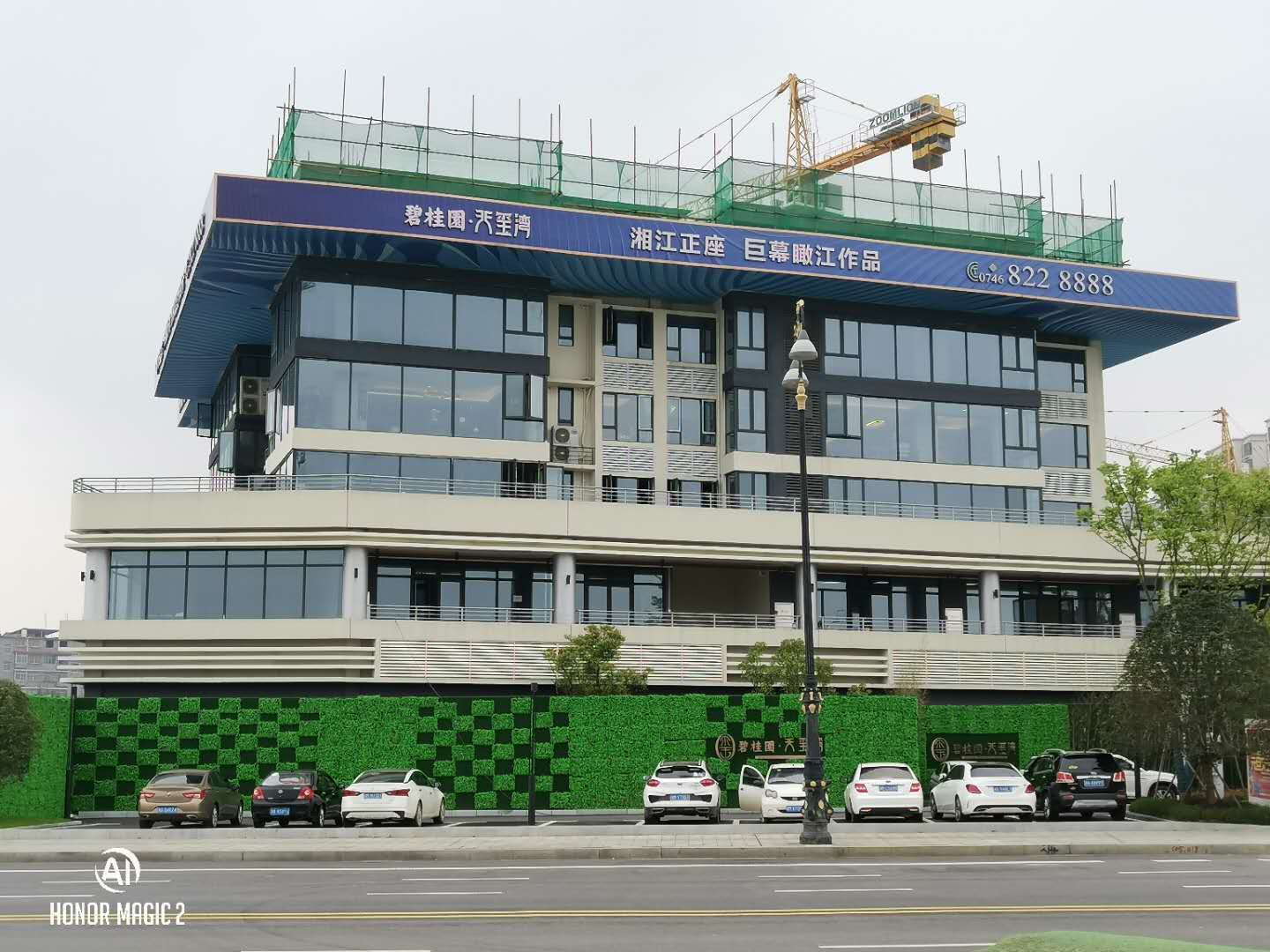 碧桂园 天玺湾