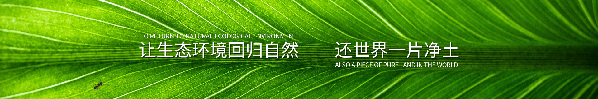 河北康寧環保工程有限公司