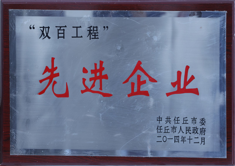 雙百工程先進企業