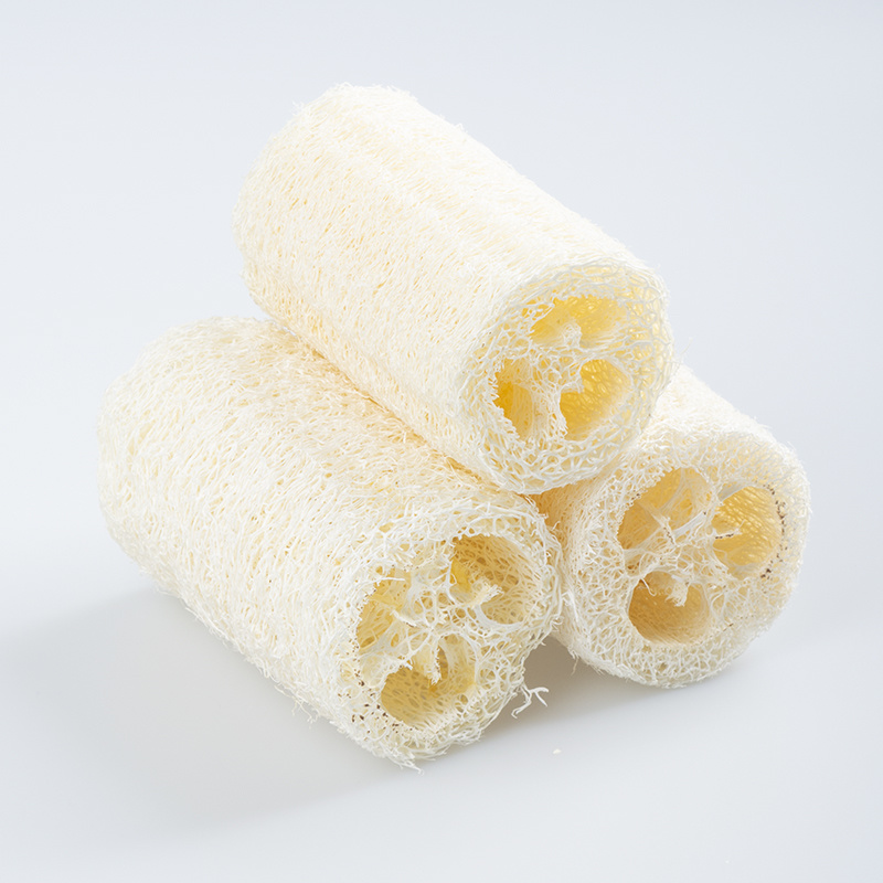 Loofah sponge