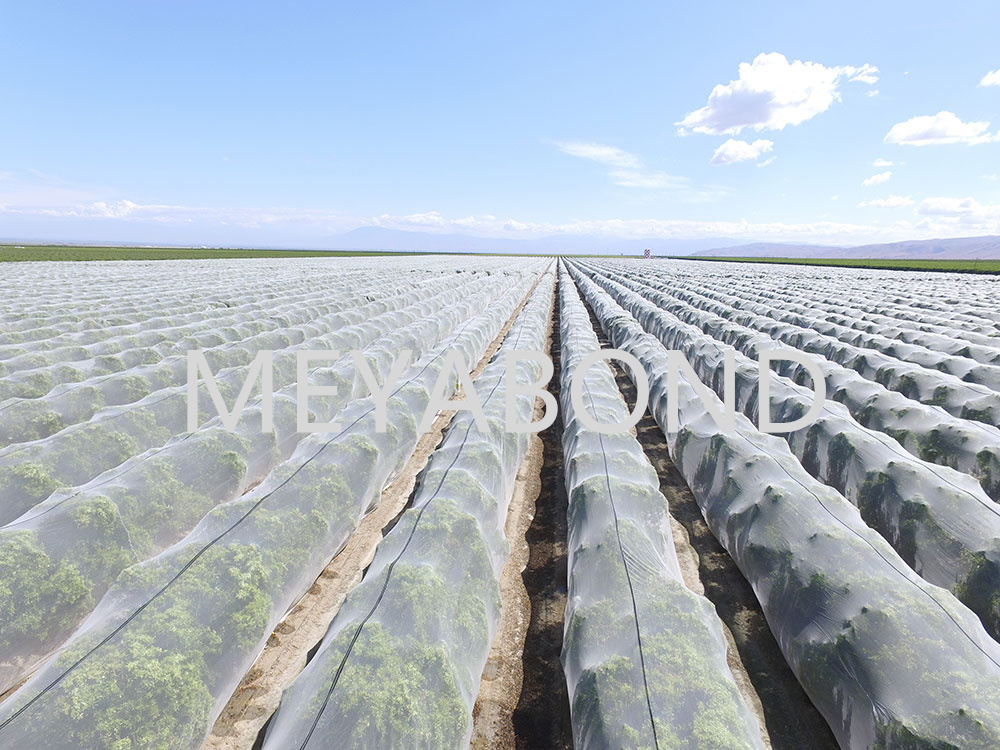 Why Choosing the Right Anti Insect Net is Essential for Your Crops