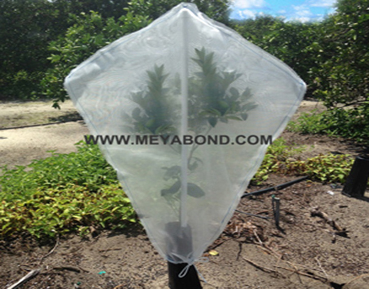 Anti insect net mesh bag/Date bag
