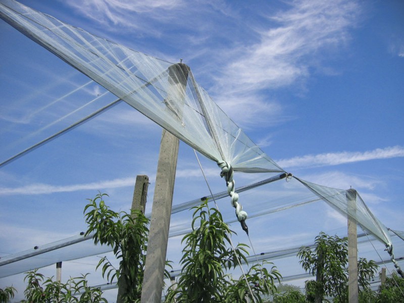 Protect Your Crops: The Advantages of Using Anti Hail Nets