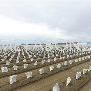 Understanding Silo Sacks: A Key Tool for Modern Agriculture