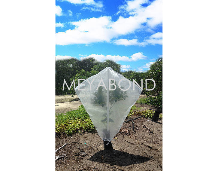 Why Choosing the Best Open Protective Net is Crucial for Your Crops