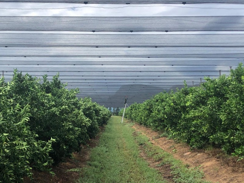 Maximizing Crop Yields: The Essential Role of Anti Insect Nets for Greenhouses