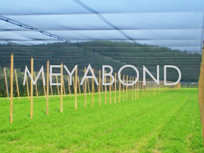 agriculture agriculture