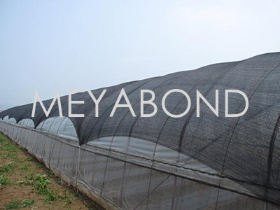 Understanding Thrip Netting: A Sustainable Solution for Pest Management in Agriculture