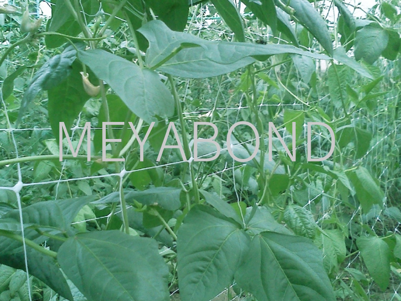 Plant Support Net